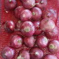 red fresh onion new season onion best quality onions round onion